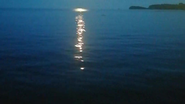 Enchanted Rock Island Resort Under Moonlight